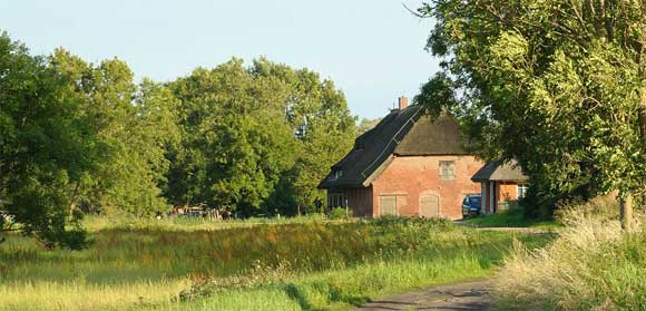 Unsere Gutsscheune im Herzen von Rügen ist nach einer liebevollen Renovierung das Zuhause für unsere Gäste